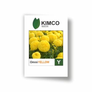 KIMCO MARIGOLD OMNI YELLOW (10000 SEEDS)