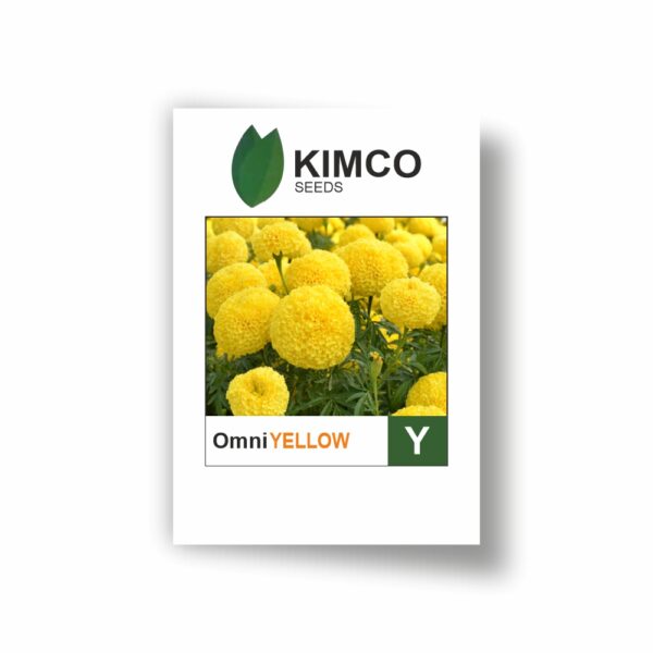 KIMCO MARIGOLD OMNI YELLOW PLUS (50000 SEEDS)
