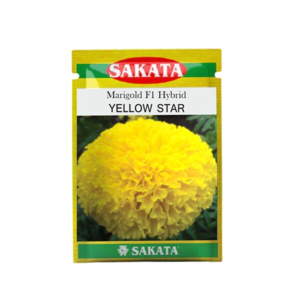 SAKATA MARIGOLD F1 YELLOW STAR (25000 SEEDS) (TIN)