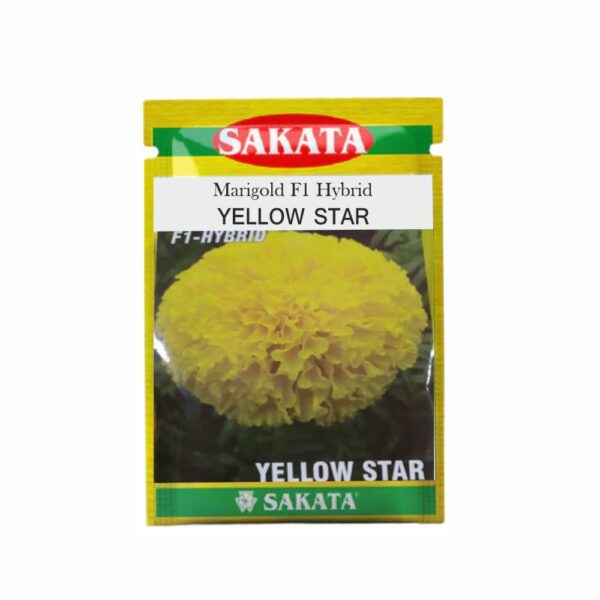 SAKATA MARIGOLD F1 YELLOW STAR (5000 SEEDS) (TIN)