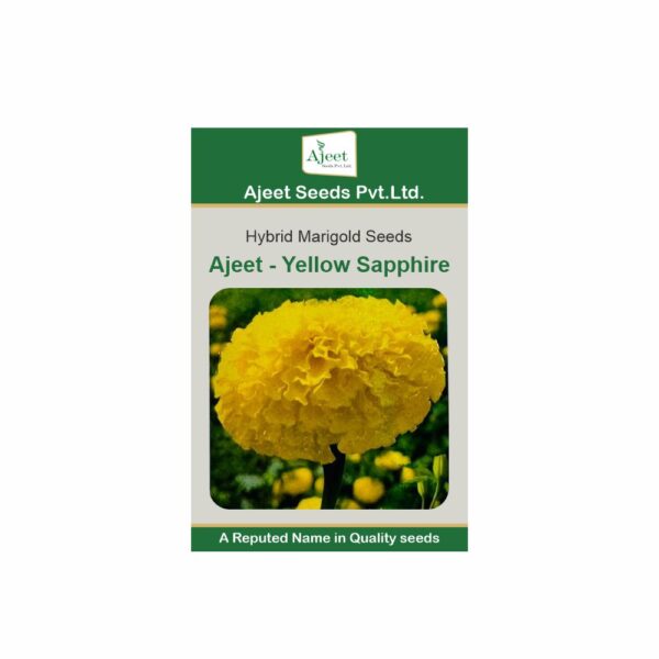 AJEET HYBRID MARIGOLD YELLOW SAPPHIRE (1000 SEED) (3.50 GM)