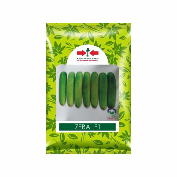 East-West Cucumber ZEBA (800 SEEDS)