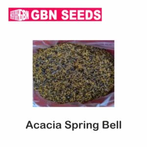 GBN acacia spring bell seeds (1 KG)(pack of 10)
