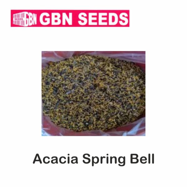 GBN acacia spring bell seeds (1 KG)(pack of 10)