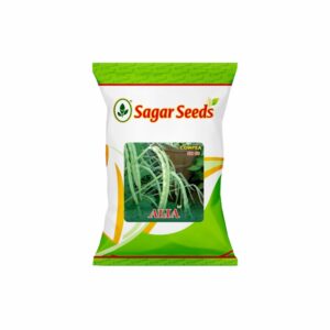 Sagar alia (choli) F-1 Hybrid cow pea Seeds (500 gm)