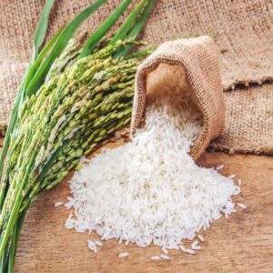 Loan For Organic Cultivation of Basmati Rice