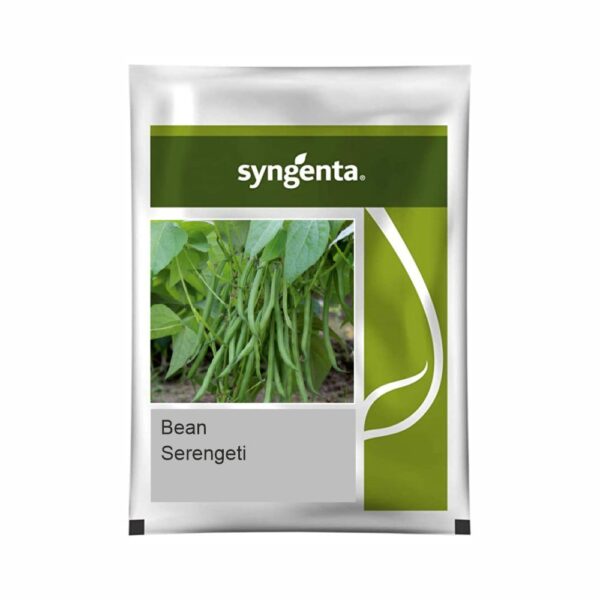 SYNGENTA BEANS Serengeti (500 gm)