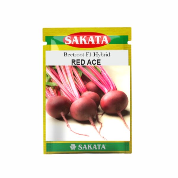 SAKATA BEET ROOT F1 RED ACE (100 GM) (POUCH)