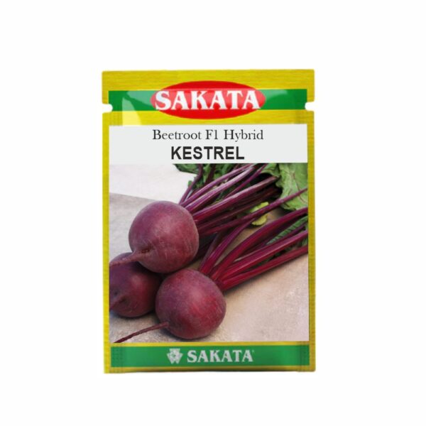 SAKATA BEET ROOT F1 KESTREL (50 GM) (POUCH)