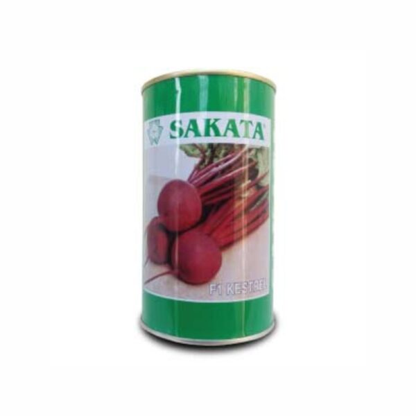 SAKATA BEET ROOT F1 SUPER KESTREL (200 GM) (TIN)
