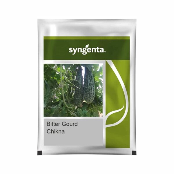 SYNGENTA BITTERGOURD Chikna (50 gm)