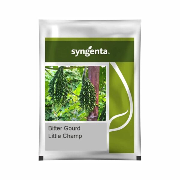 SYNGENTA BITTERGOURD Little Champ  (50 gm)