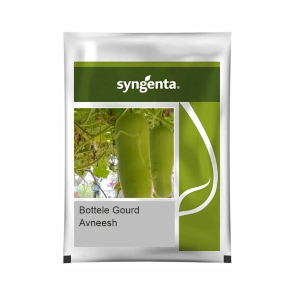 SYNGENTA BOTTLE GOURD Avneesh (50 gm)