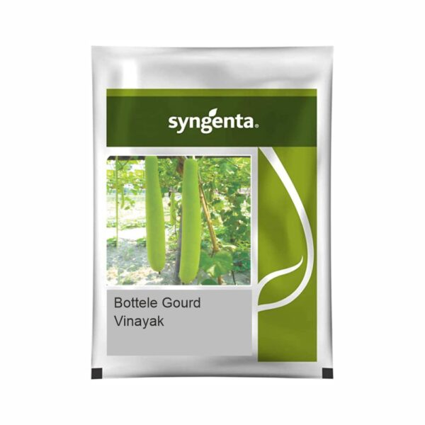 SYNGENTA BOTTLE GOURD Vinayak (50 gm)