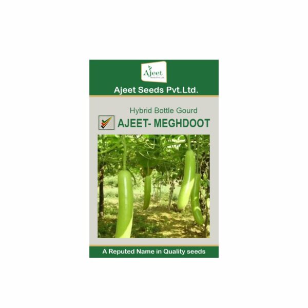 AJEET HYBRID BOTTLE GOURD MEGHDOOT (50 GM)