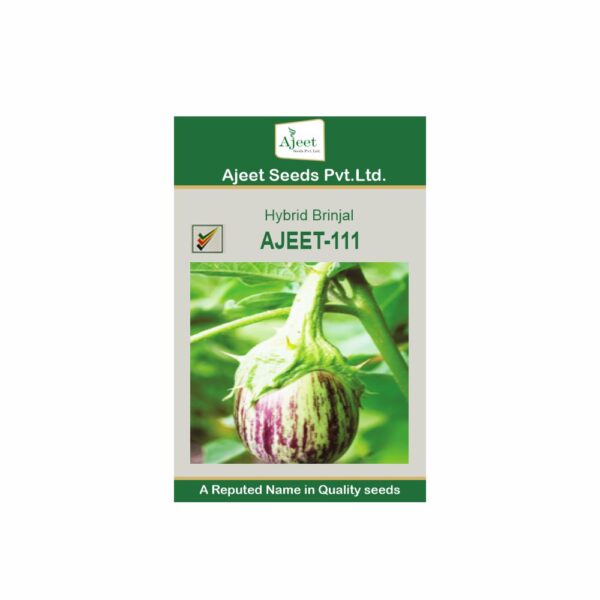 AJEET HYBRID BRINJAL - 111 (10 GM)
