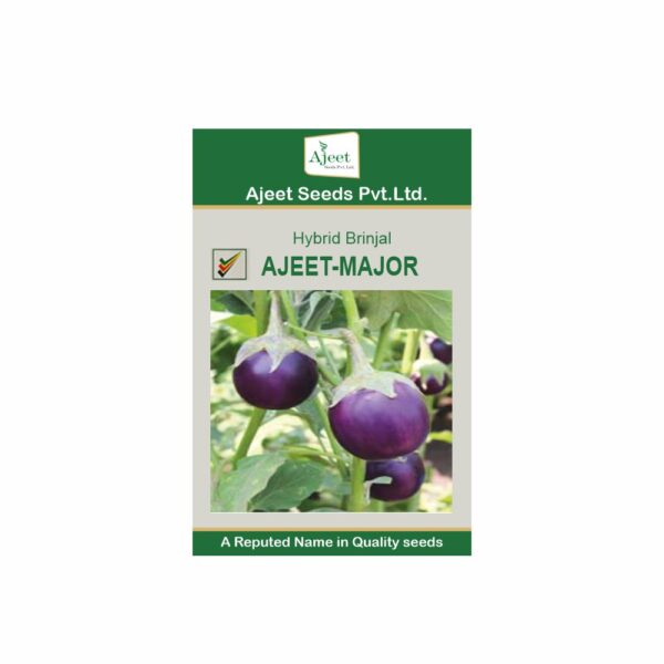 AJEET HYBRID BRINJAL MAJOR (10 GM)