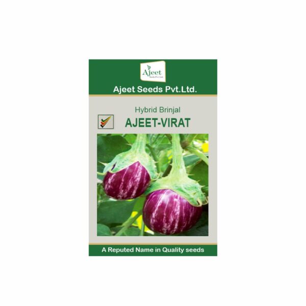 AJEET HYBRID BRINJAL VIRAT (10 GM)