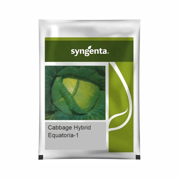SYNGENTA CABBAGE EQUATORIA-1 (2500 SEEDS)