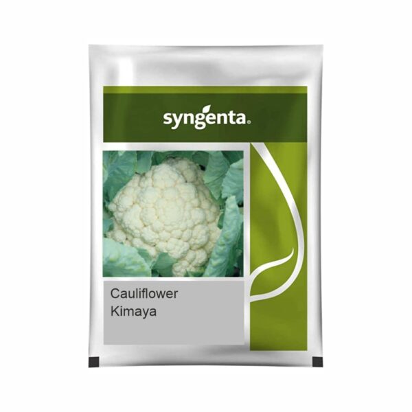 SYNGENTA CAULIFLOWER KIMAYA (20000 SEEDS)