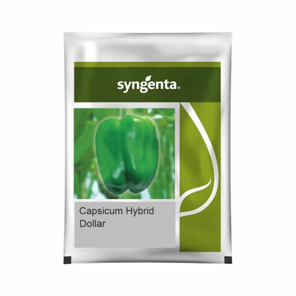 SYNGENTA CAPSICUM DOLLAR (1000 SEEDS)
