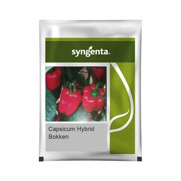 SYNGENTA CAPSICUM BOKKEN (1000 SEEDS)