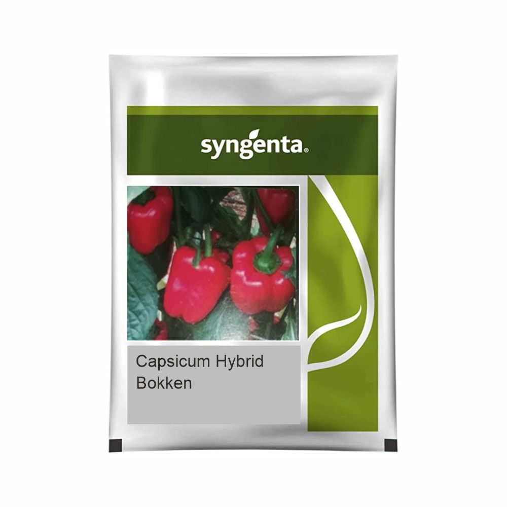 SYNGENTA CAPSICUM BOKKEN (1000 SEEDS)