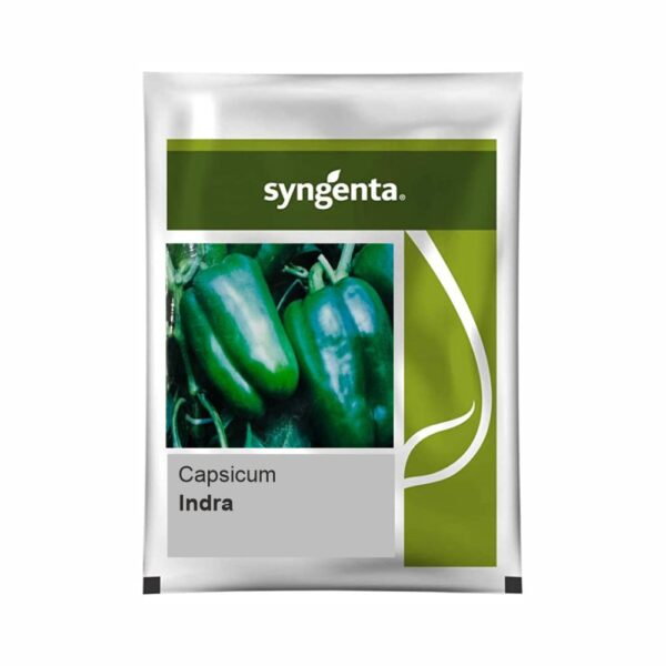 SYNGENTA CAPSICUM INDRA (20000 SEEDS)