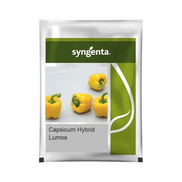SYNGENTA CAPSICUM LUMOS (1000 SEEDS)