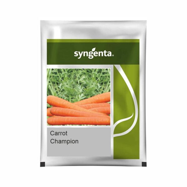 SYNGENTA CARROT Champion (100000 SEEDS)