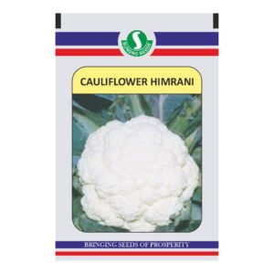 sungro CAULIFLOWER HIMRANI (159)  10Gm