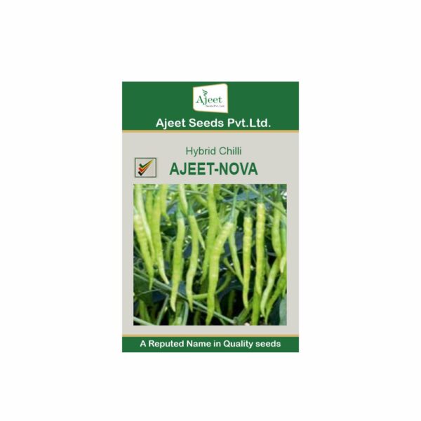 AJEET HYBRID CHILLI NOVA (10 GM)