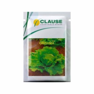 Clause Lettuce Grishma(10 gm)