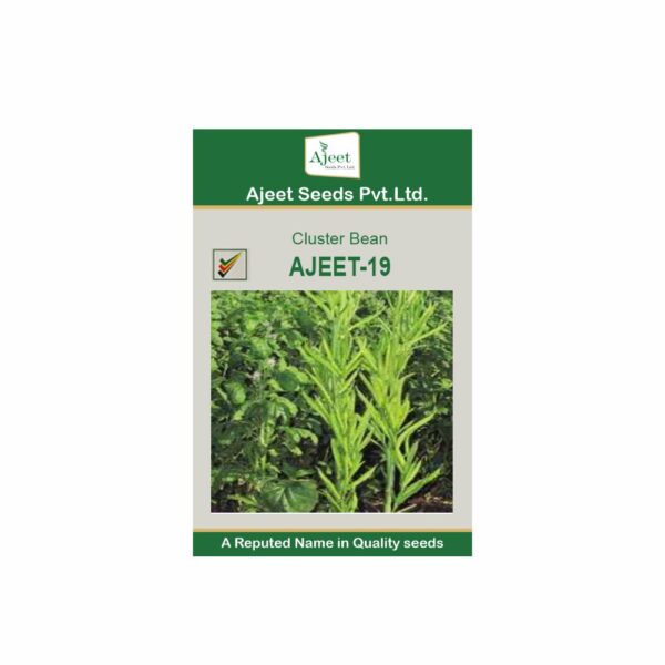 AJEET IMPROVED CLUSTER BEAN - 19 (100 GM)