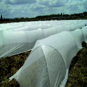 IRIS Crop cover /low tunnel 7 FT X 400 MTR  X 17 GSM