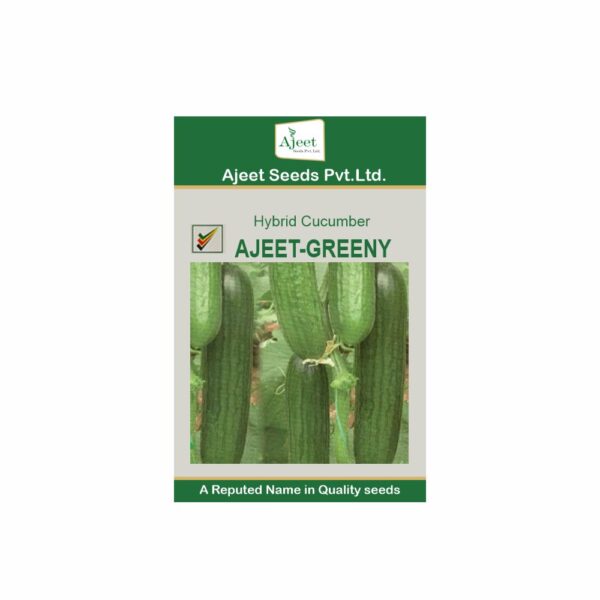 AJEET HYBRID CUCUMBER GREENY (25 GM)