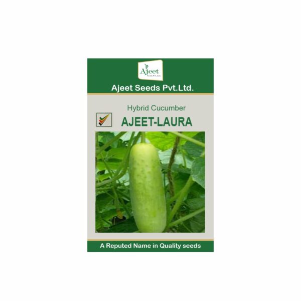 AJEET HYBRID CUCUMBER LAURA (10 GM)