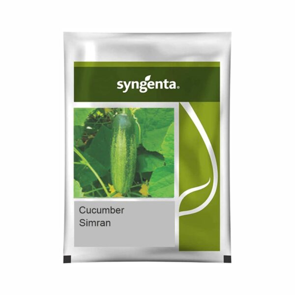 SYNGENTA CUCUMBER Simran (10 gm)