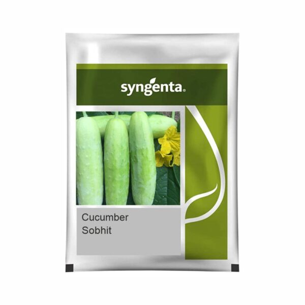 SYNGENTA CUCUMBER Sobhit (850 SEEDS)