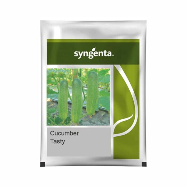 SYNGENTA CUCUMBER TASTY  (10 gm)
