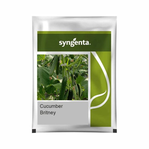 SYNGENTA CUCUMBER Britney (1000 SEEDS)