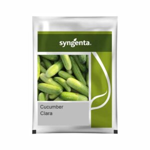 SYNGENTA CUCUMBER CLARA (10 gm)