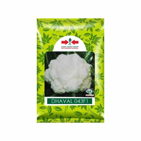 East-West CAULIFLOWER DHAVAL 043 F1(10 GM)