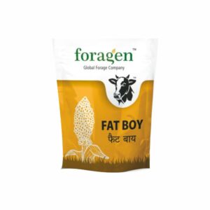 FORAGEN FAT BOY (1 KG)