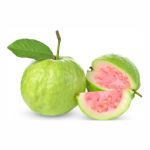 GUAVA SEED