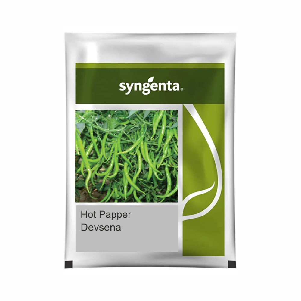 SYNGENTA HOT PEPPER Devsena (20000 SEEDS)