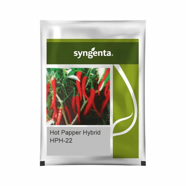 SYNGENTA HOT PEPPER  HPH-22 (1500 SEEDS)