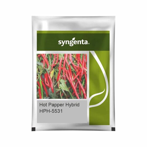 SYNGENTA HOT PEPPER HPH-5531 (20000 SEEDS)