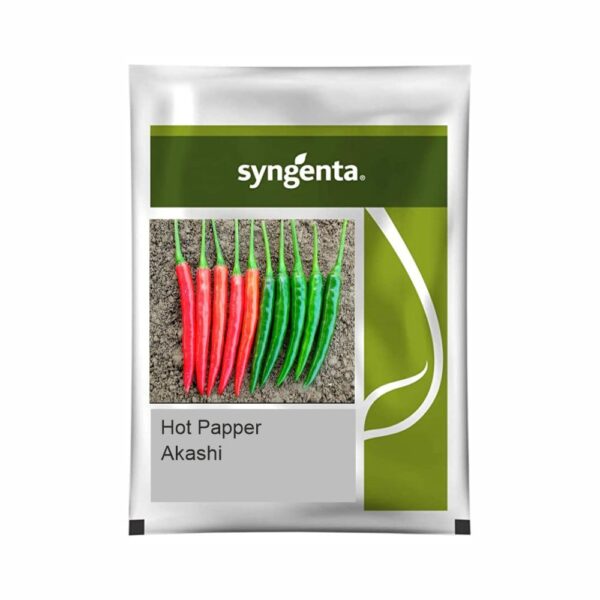 SYNGENTA HOT PEPPER AKASHI (2000 SEEDS)