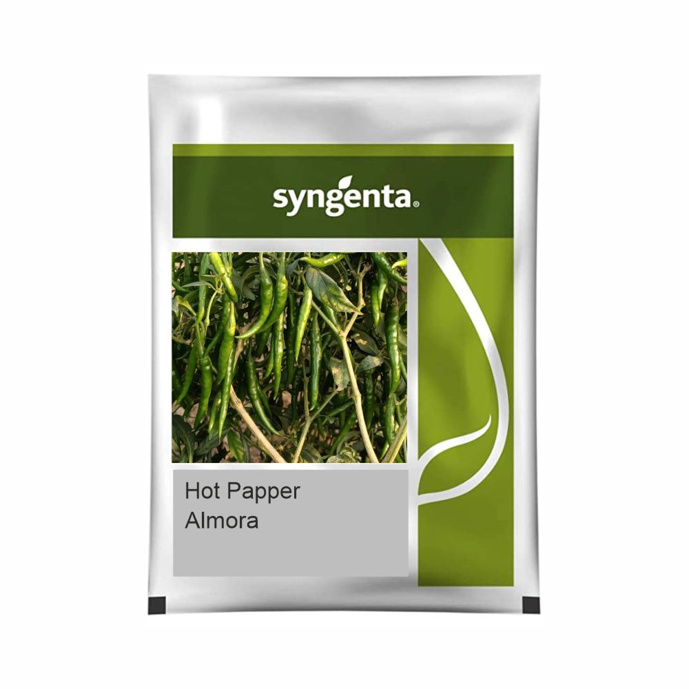 SYNGENTA HOT PEPPER ALMORA (1500 SEEDS)